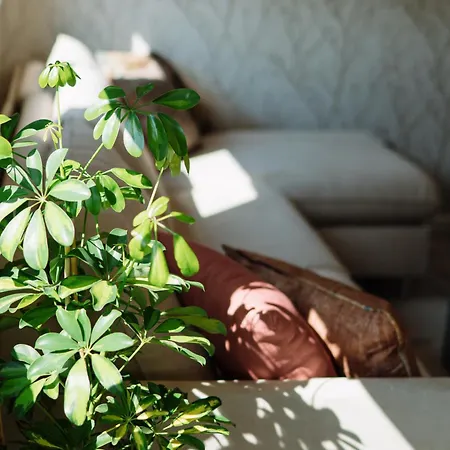 شقة Lena Luxury *