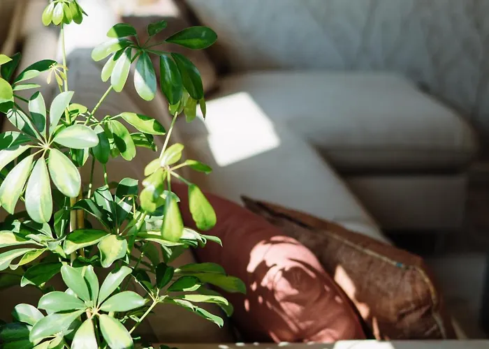 Apartmán Lena Luxury *